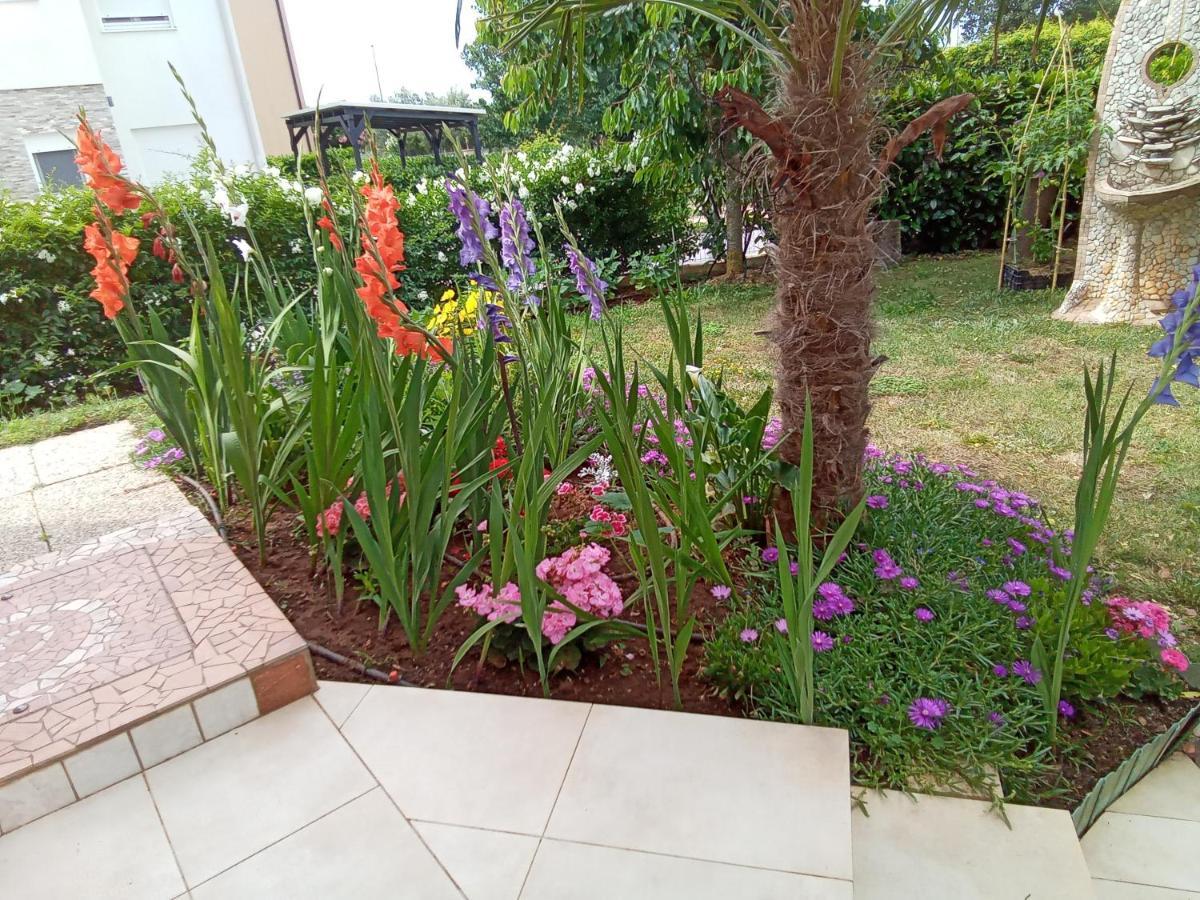 Bluegum Apartments Liznjan Luaran gambar